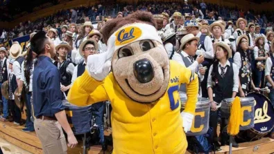 Cal Boys Mascot