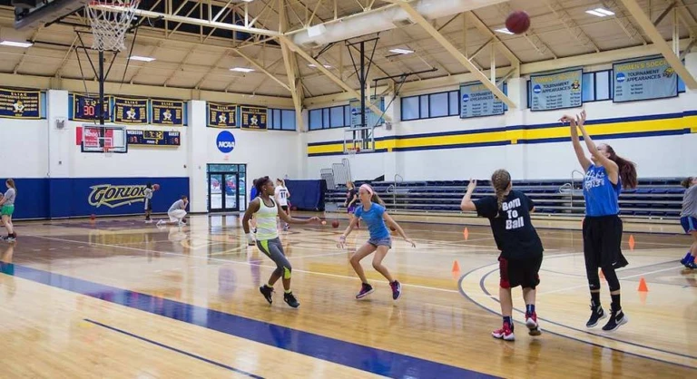 Webster University Girls Basketball Camp Scrimmage