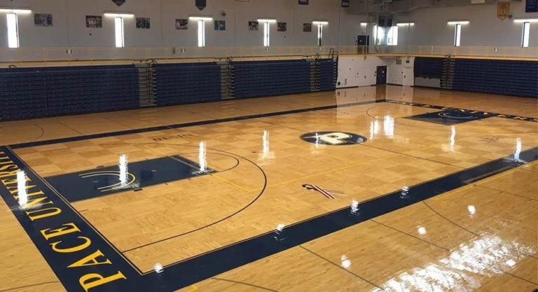 Pace university basketball camp in new york