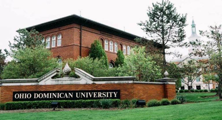 Summer basketball camp at Ohio dominican university