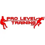 Pro level training