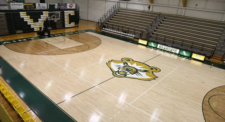 Saint Vincent Gym