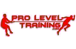 Pro level training Logo