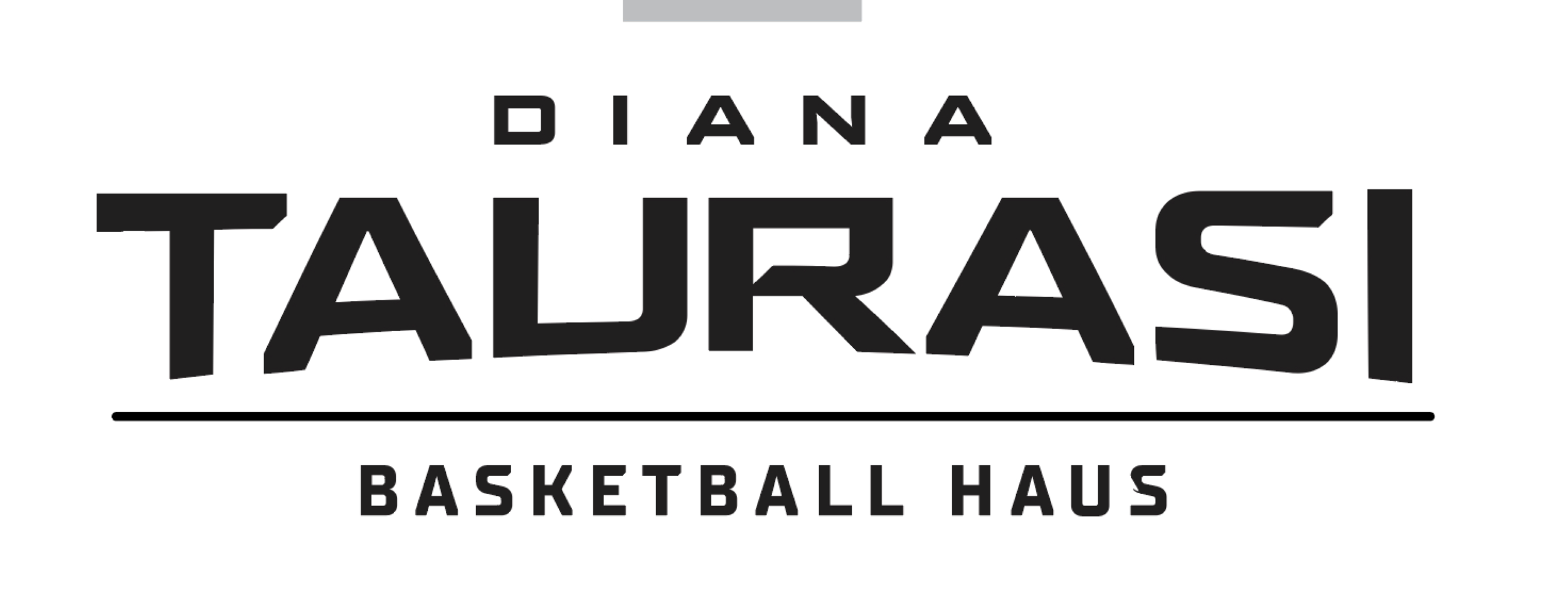 DT Basketball Haus logo v 2