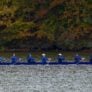 Duke Rowing On Water