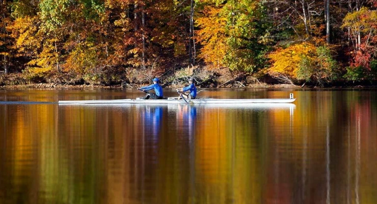 Duke Rowing Colorful Trees