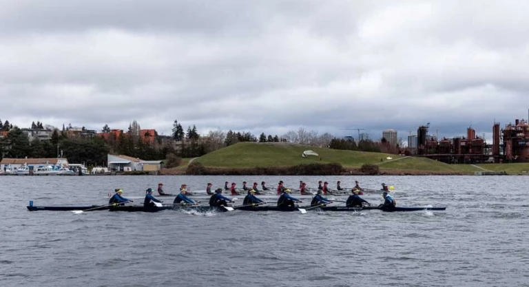 RG Falcon Regatta 4 1 106 copy