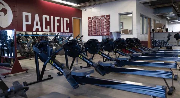 RG Falcon Regatta 4 1 192 1 copy