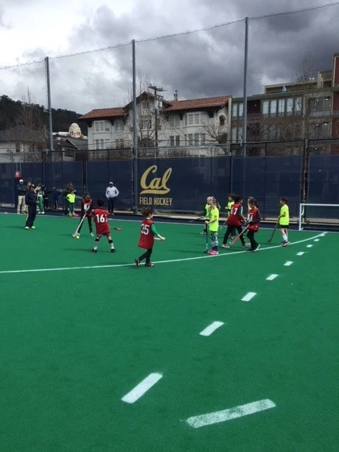 Cal Field Hockey Tiny Tournament Scrimmage