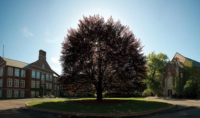 Worcester Polytechnic Institute Campus