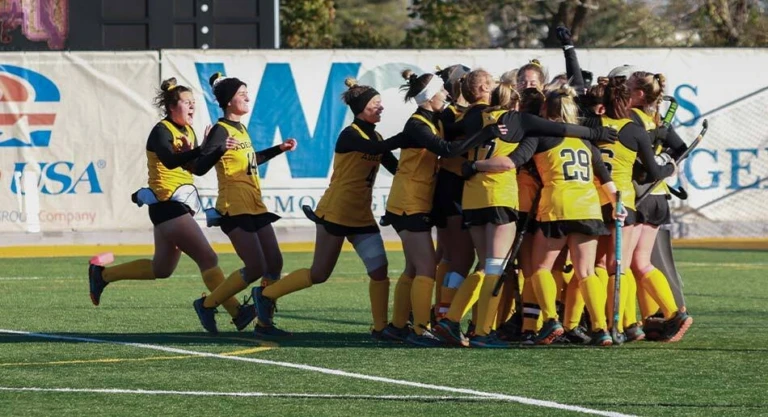 Adelphi FH Gallery 1