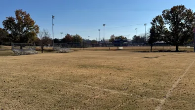 Fern Bell Recreation 1