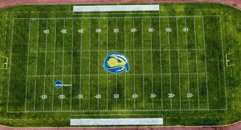 Ray Dennison Memorial Field FLC 2