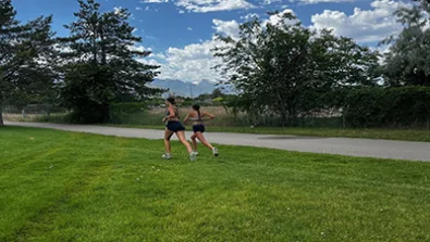 Westminster gallery7