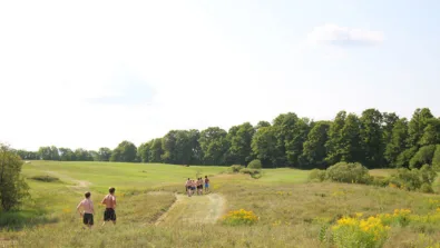 Running Gallery Fields 2