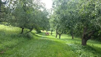 Winona Gallery Groupgreen