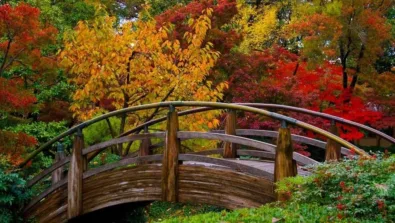 Gallery Rosecity Japanesegarden