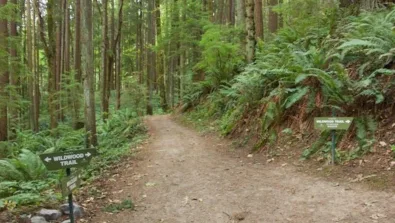 Gallery Rosecity Wildwoodtrail