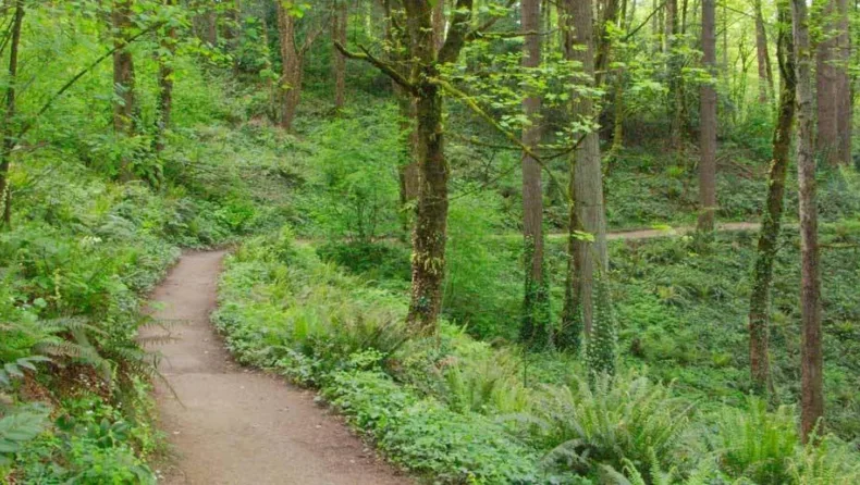 Nike Cross Country Camp at George Fox University