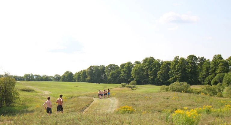 Running Gallery Fields 2