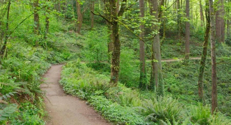 Facility Washingtonpark