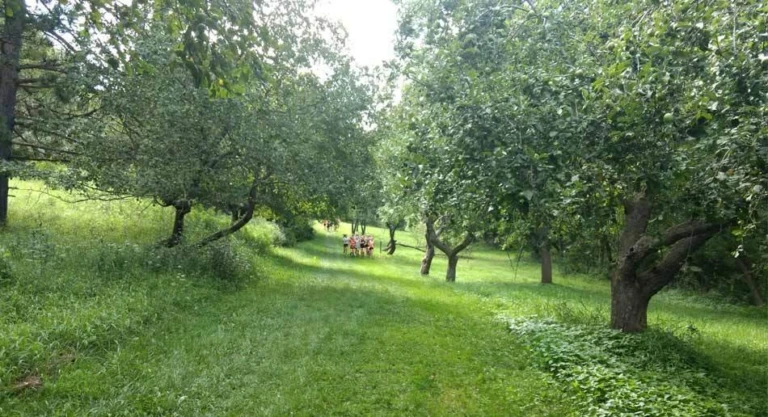 Winona Gallery Groupgreen