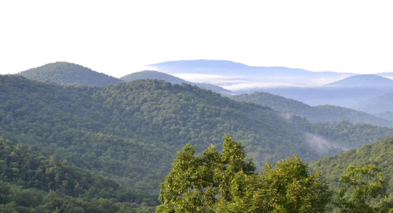 Gallery Smrc Smoky Mountains