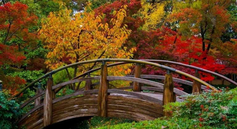 Gallery Rosecity Japanesegarden