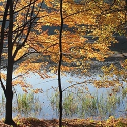 Nike Cross Country Camp Central Wisconsin