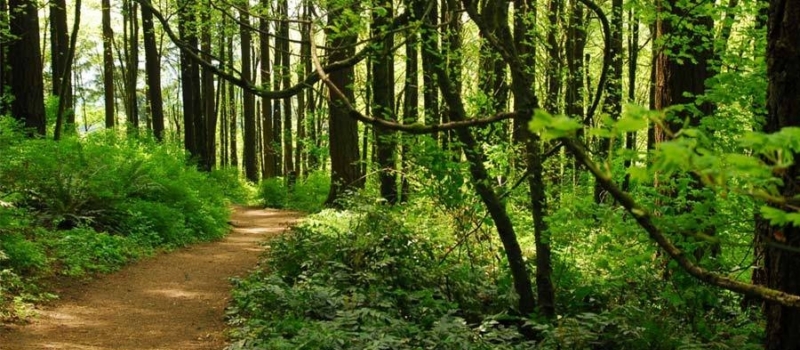 Facility Marquamtrail Rosecity