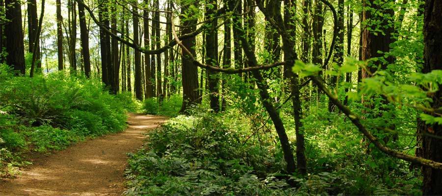 Facility Marquamtrail Rosecity