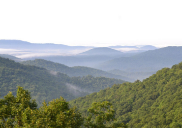 Smrc Featured Image 858X507