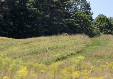 Chris Solinksy Feature Image