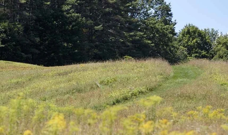 Chris Solinksy Feature Image