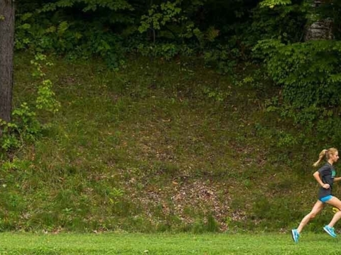 Feature Image For Brockport Tip