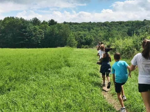 Green Used For Active Rest