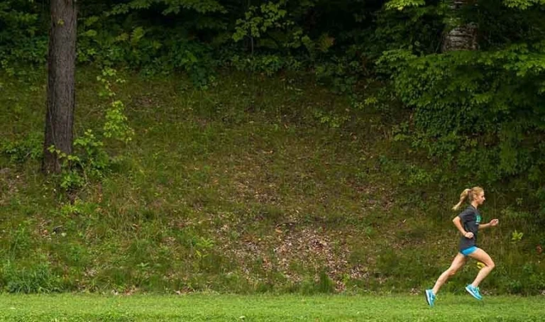 Feature Image For Brockport Tip