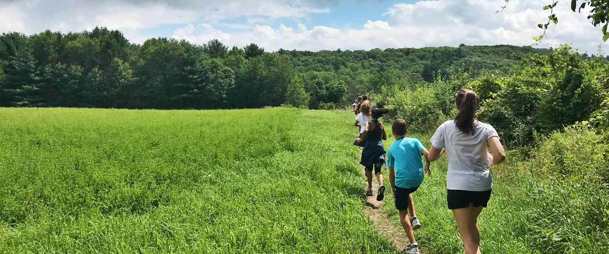 Green Used For Active Rest