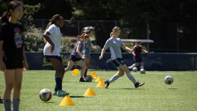 SOGDCA drill 950x516