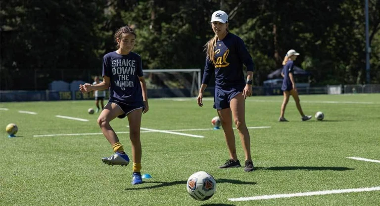 SOGDCA coach4 950x516