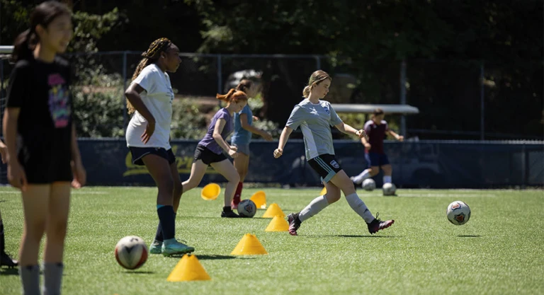 SOGDCA drill 950x516