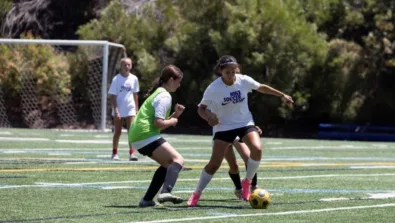 2025 Default Gallery Image 950 x 516 px 17