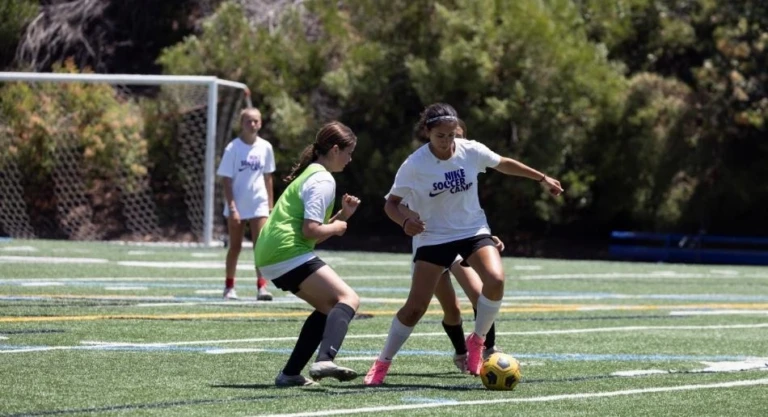 2025 Default Gallery Image 950 x 516 px 17