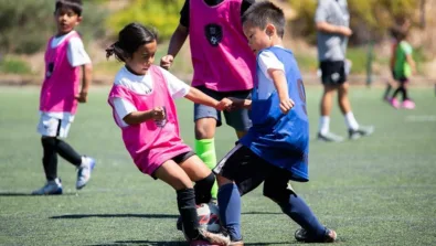 Prospect academy gallery 13 950x516