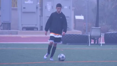 SOXDOX Gallery 3 950x516