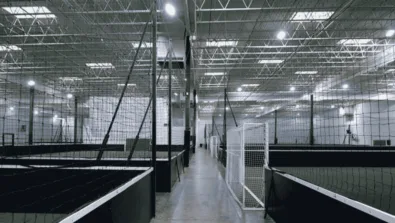 SOXFV Gallery Image 950 x 516 px 1