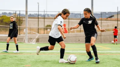 SOXDWD Gallery Image 950 x 516 px 3