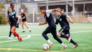 SOXDWD Gallery Image 950 x 516 px 4