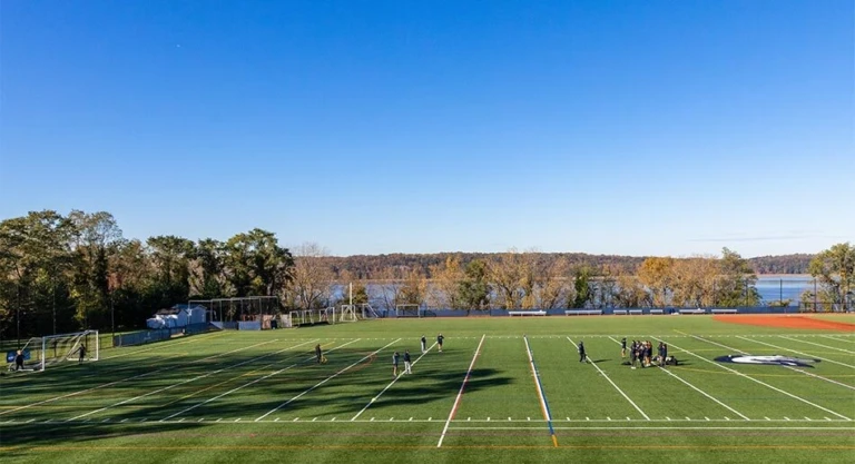 Mercy College 950x516