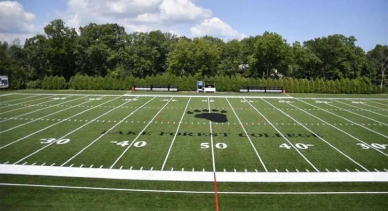 Farewell field 950x516